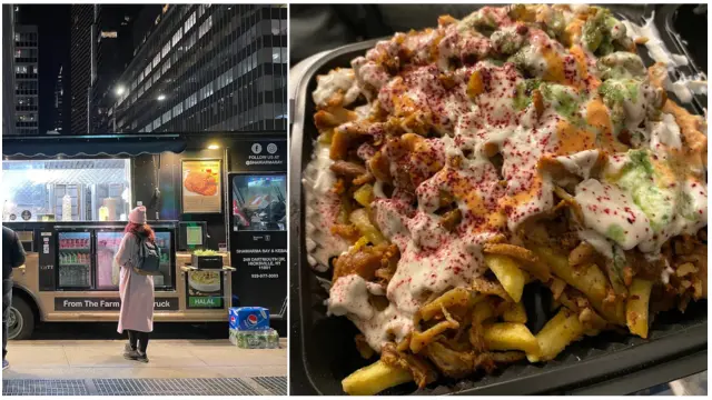 Shawarma Bay Fancy Halal Restaurant Manhattan