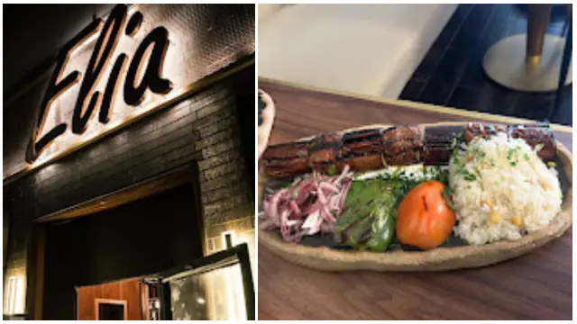 elia halal restaurants chicago